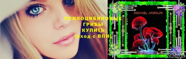 прущие грибы Навашино