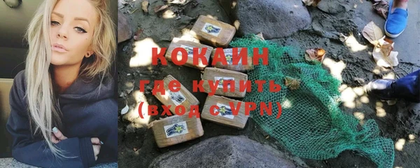 прущие грибы Навашино