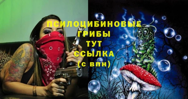 альфа пвп Надым