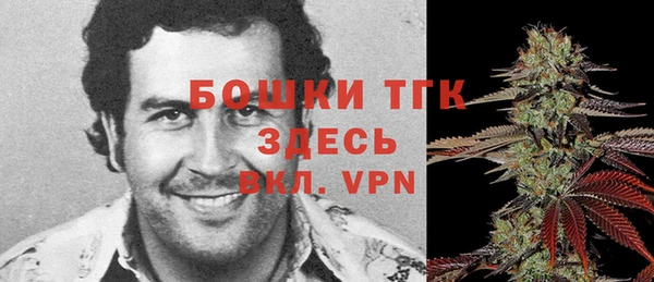 прущие грибы Навашино