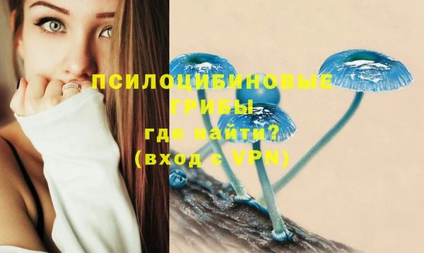 альфа пвп Надым