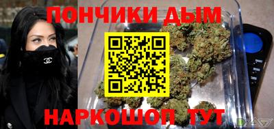 дурь Камышлов