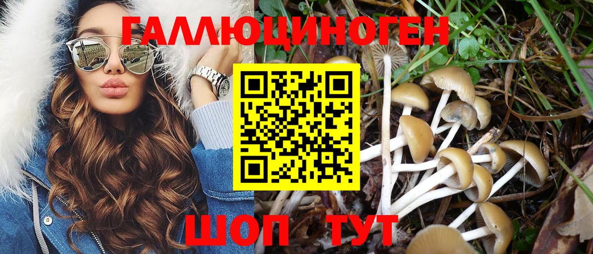 Псилоцибиновые грибы ЛСД  Вход с VPN  Псилоцибиновые грибы Magic Shrooms  Шебекино 