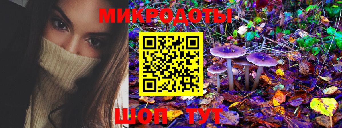 Псилоцибиновые грибы Psilocybine cubensis Шебекино